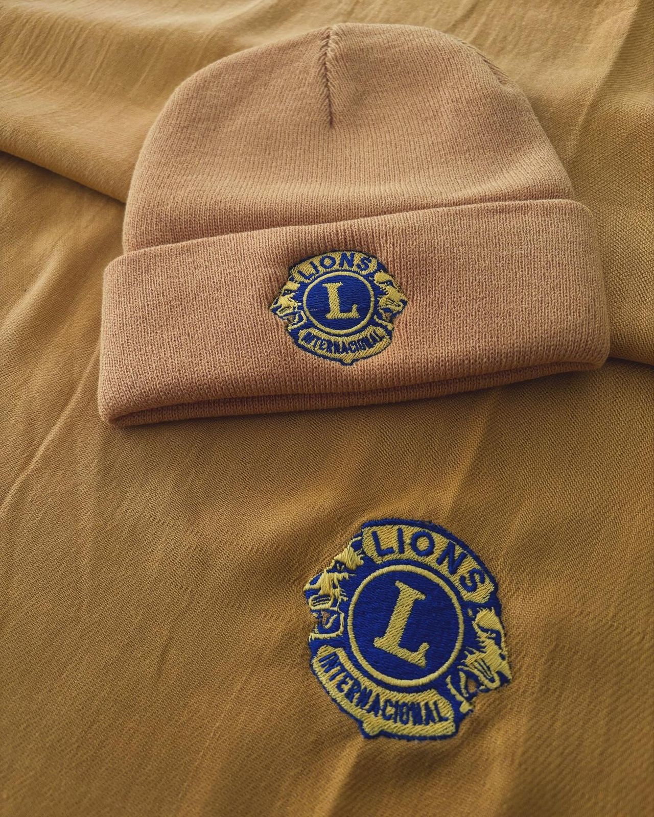 Gorro y polera Lions